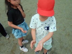 DSCF0139