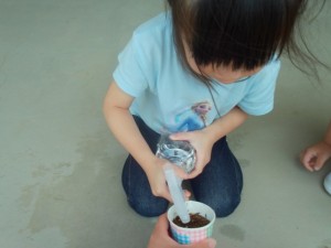 DSCF0168