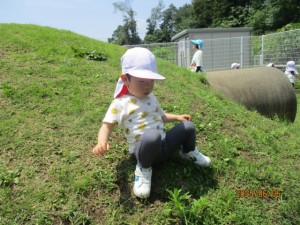 IMG_0465