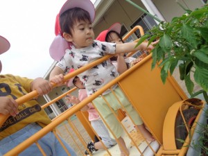 DSC00129