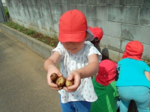 DSCF0154