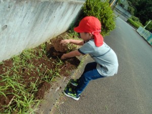 DSCF0162