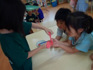 DSCF0231
