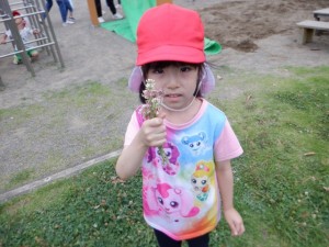 DSCF8347