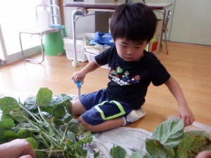 DSCF8405