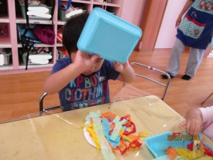 IMG_0329
